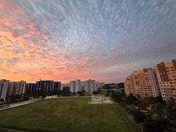 Blk 119B Eastwave @ Canberra (Sembawang), HDB 5 Rooms #503134871